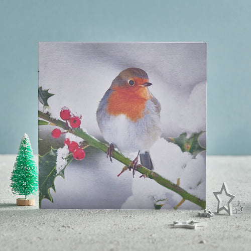 A Christmas card with Robin sitting on a branch next to red berries in the snow