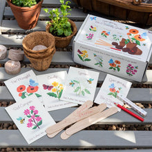 Load image into Gallery viewer, Bee and Butterfly Flower Growing Kit