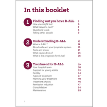 Load image into Gallery viewer, Adult B-cell acute lymphoblastic leukaemia (B-ALL) booklet and download