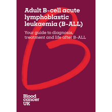 Load image into Gallery viewer, Adult B-cell acute lymphoblastic leukaemia (B-ALL) booklet and download