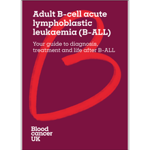 Load image into Gallery viewer, Adult B-cell acute lymphoblastic leukaemia (B-ALL) booklet and download