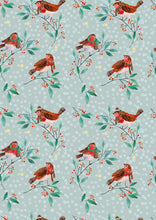 Load image into Gallery viewer, Robin Friends Gift Wrap