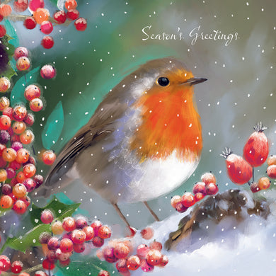 Robin in the Snow Christmas cards - Pack of 10