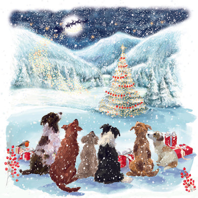 Waiting for Santa Treats Christmas cards - Pack of 10