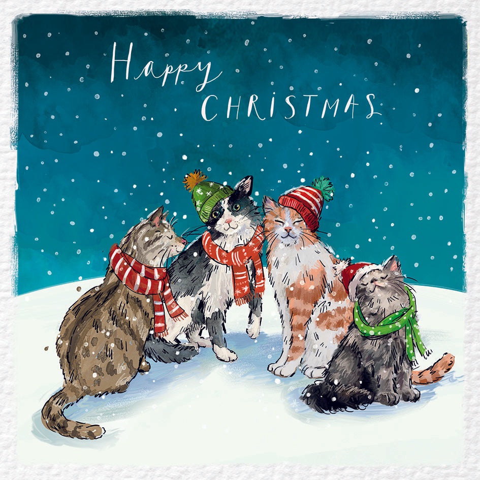 A Christmas Cat Get Together Christmas cards - Pack of 10