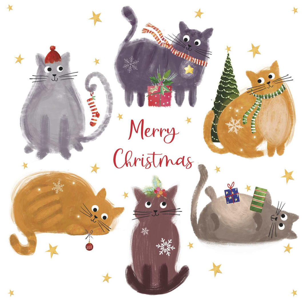 Festive Felines Christmas cards, Pack of 10