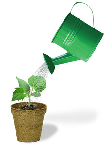 Cucumber Watering Can Grow Kit