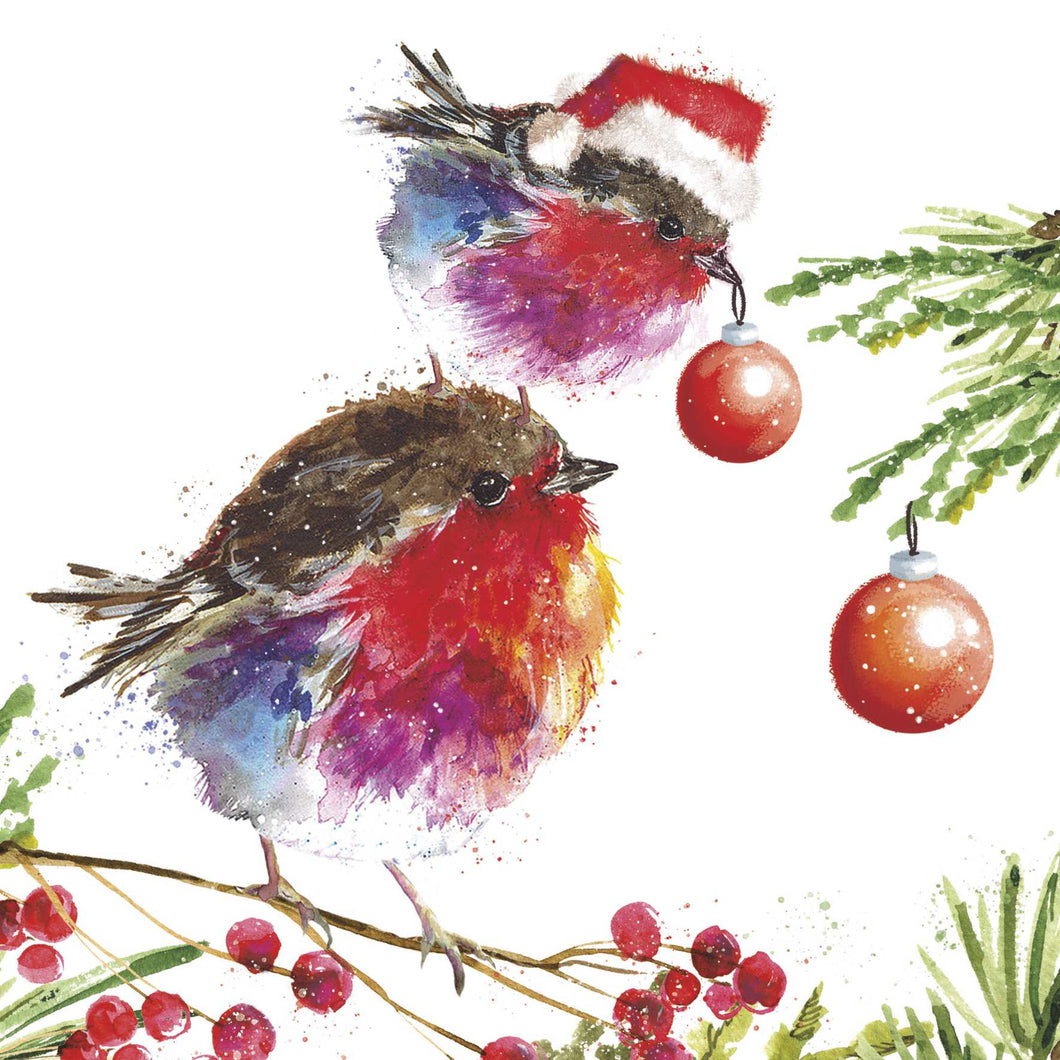 Robin and Junior Christmas cards, Pack of 10