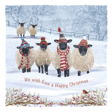 We Wish Ewe a Merry Christmas cards, Pack of 10