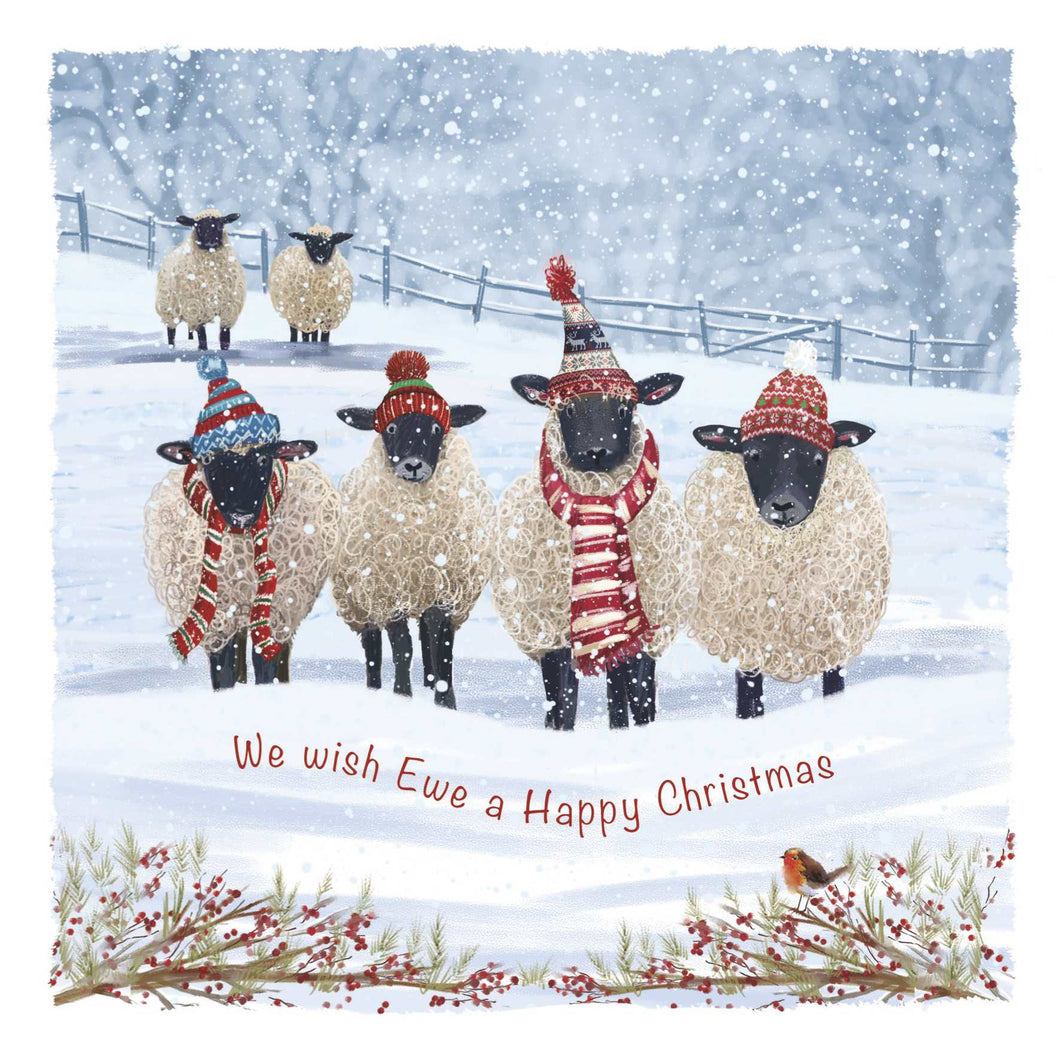 We Wish Ewe a Merry Christmas cards, Pack of 10