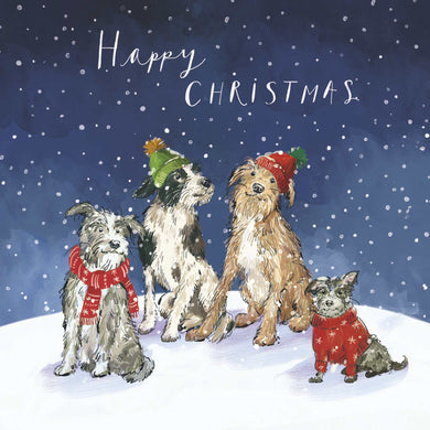 Dogs Christmas cards, Pack of 10