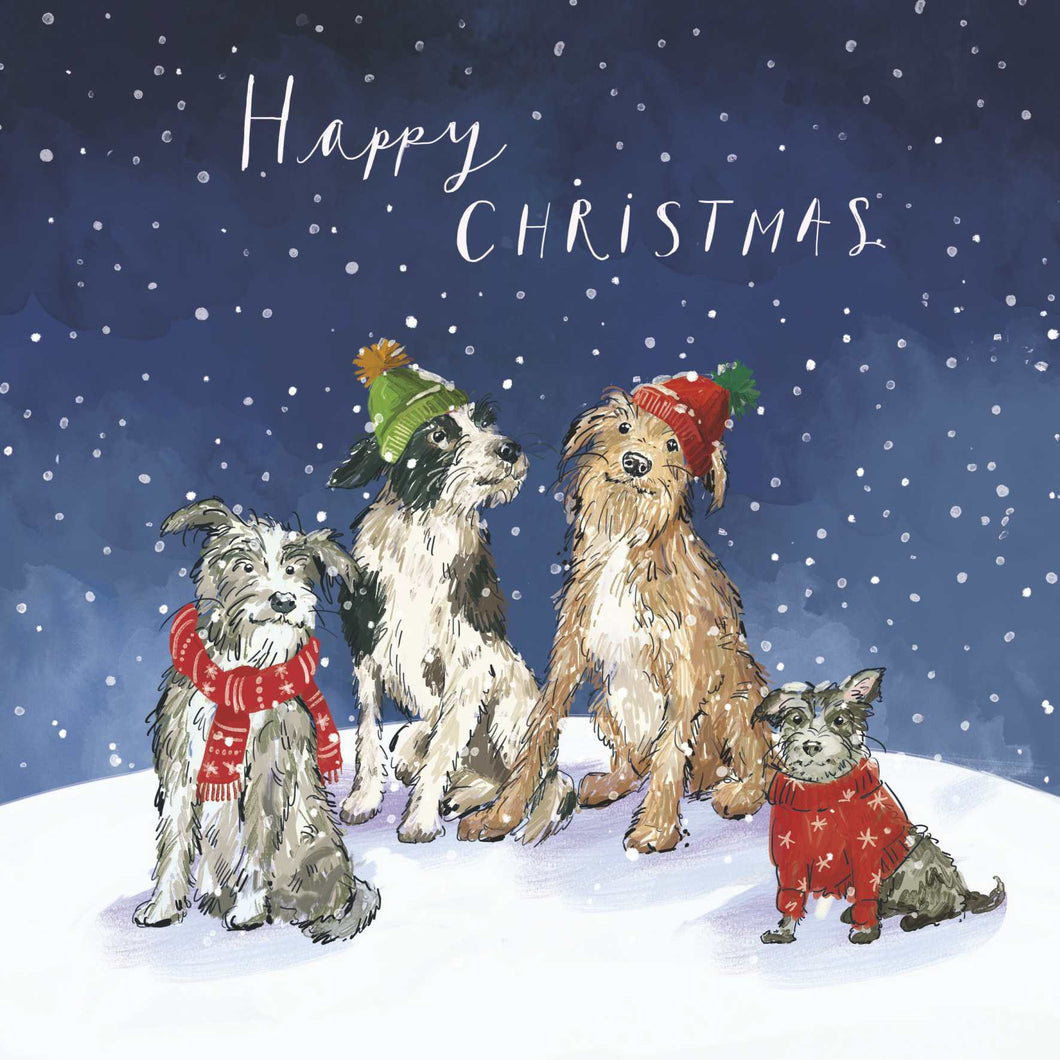 Dogs Christmas cards, Pack of 10