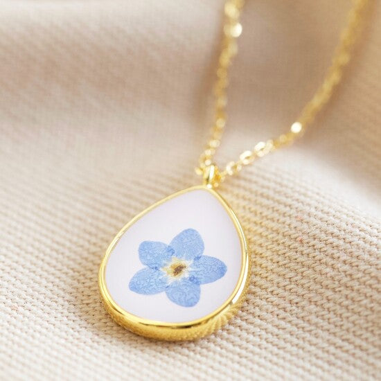 Real Pressed Forget Me Not Flower Necklace In Gold